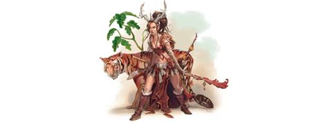 Circle of The Moon (CotM) Druid 5e Guide - Maximum Wild Shape