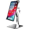 woleyi Anti Theft Tablet Kiosk Stand for 9"-14" Tablet, Security iPad ...