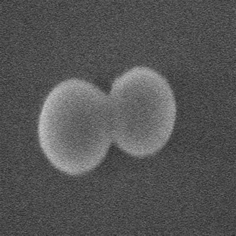 Image result for Fastest Rotating Object