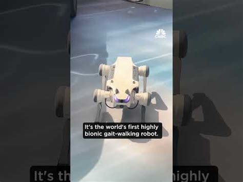 Robot Walking 的图像结果