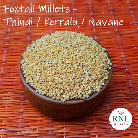 Foxtail Millet In Tamil Unpolished Foxtail Millet 1 Lb – Trupti