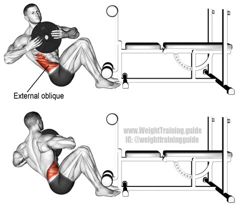 Extension Twist Abs at Alica Martel blog