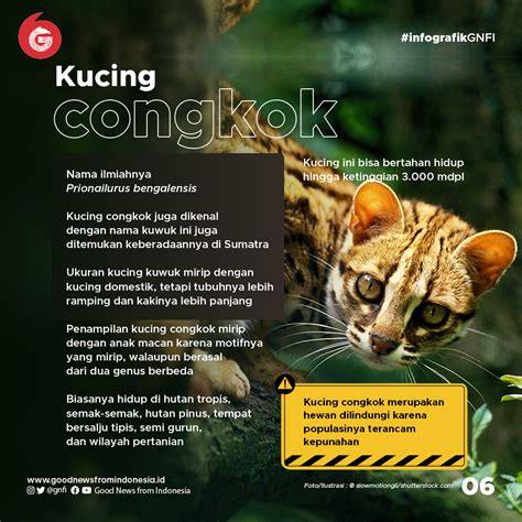 Image result for Contoh Codingan HTML Disaen