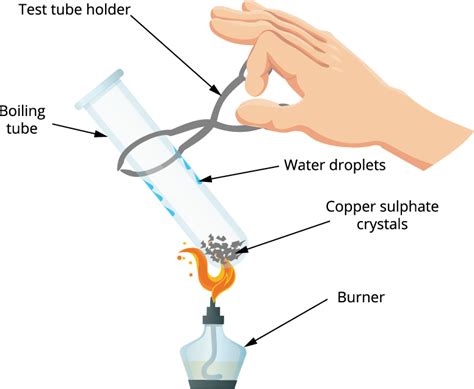 Are the crystals of salts really dry? — lesson. Science CBSE, Class 10.