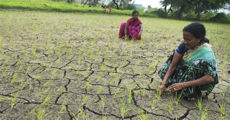 UP Government To Carry Out Artificial Rainfall In Drought-Hit Areas To ...