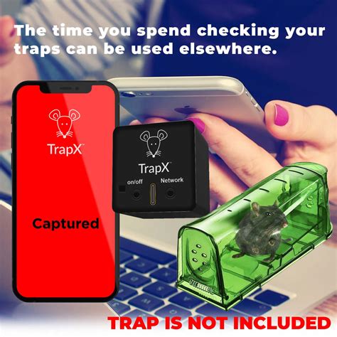 Image result for Setting Mouse Traps Tips