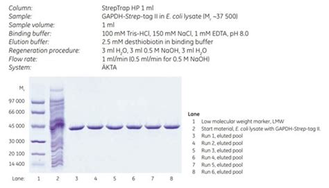 Puriﬁcation using StrepTrap™ HP 1 mL and 5 mL