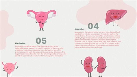 Image result for PowerPoint About Digestive System