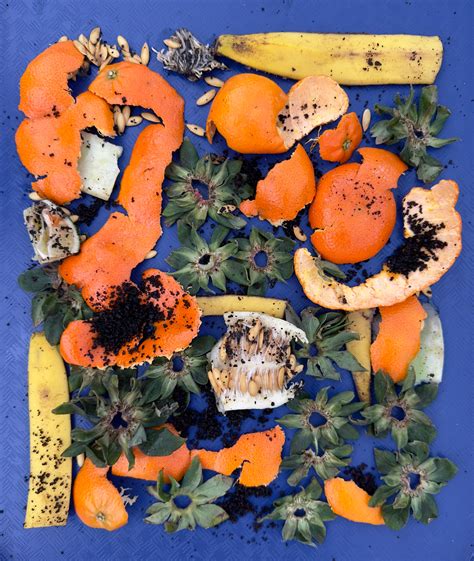 Food waste as art: Part 3 – Food Waste Stories
