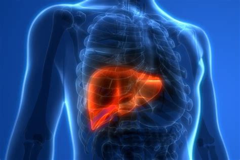 Liver Disease: Types of Liver Problems | Dr Parthasarathy