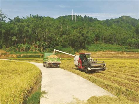 收割 的图像结果