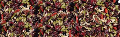 Nutraj Super Food Mix 400g (American Cranberries, American Blueberry ...