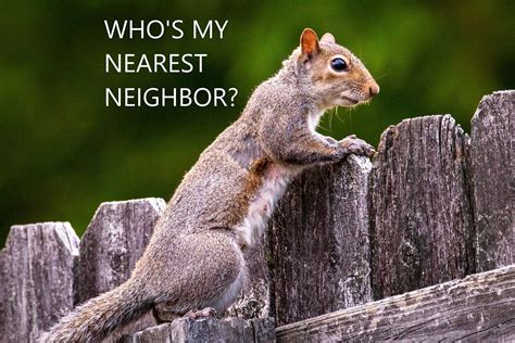 Image result for Knn Algorithm Example