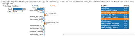 Explainable Machine Learning Models 的图像结果