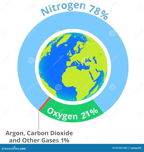 Composition of Air - Pie Chart Stock Illustration Stock Vector - Illustration of parts, argon ...