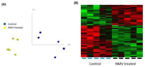 Neutrophil-Derived Microvesicle Induced Dysfunction of Brain ...