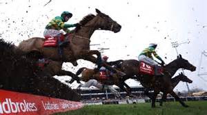 Horse Racing News