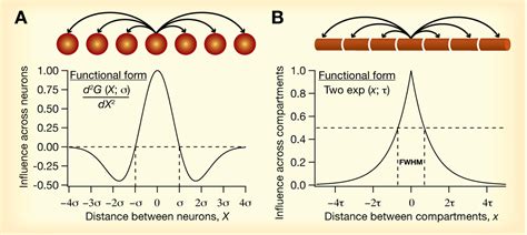 Cellular Neurophysiology Laboratory, MBU, IISc: Research
