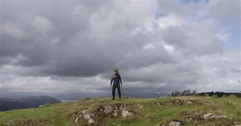 Image result for Wolves History