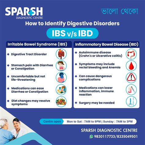IBS vs IBD: Understanding the Differences, Symptoms, and Treatment ...