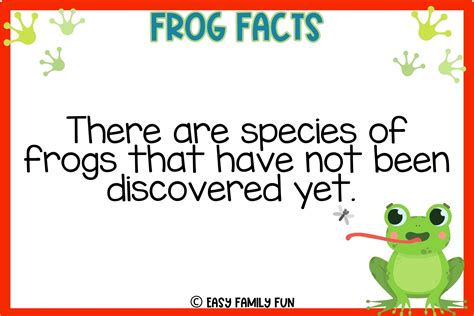 What Are 5 Interesting Facts About Frogs at Lucinda Mckellar blog