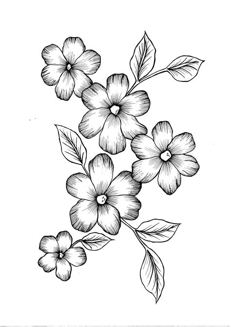 flower drawing no color