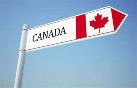 加拿大旅行签证审批终于提速！如何催签、入境？ - 知乎