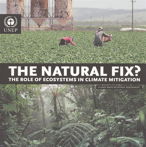 The Natural Fix?: The Role of Ecosystems in Climate Mitigation ...