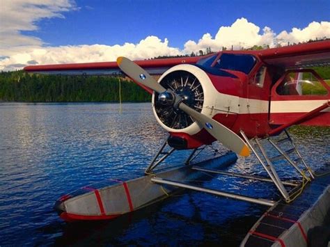 AVIATION DU FJORD (2026) All You Need to Know BEFORE You Go (with ...
