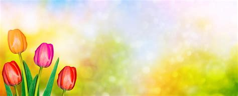 Creative Background Banner Design 的图像结果