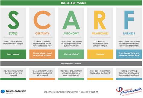 Image result for Scarf Model Explained