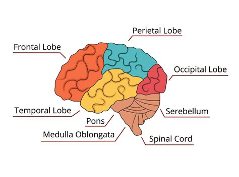 Posterior Cord Syndrome