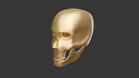 STL file Skull 3D Model 💀 (OBJ)・3D printer model to download・Cults
