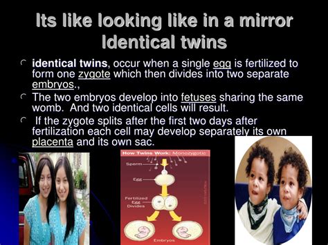 PPT - All About Twins: Types, Formation, and Facts PowerPoint ...
