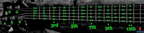 Image result for 6 String Bass Notes Chart