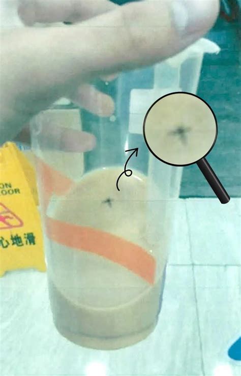 喝奶茶吗？ “要命”的那种！记者揭秘：奶茶里最致命的5种东西……__凤凰网