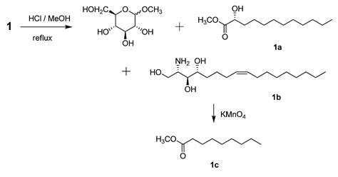 Two New Sphingolipids from the Leaves of Piper betle L.