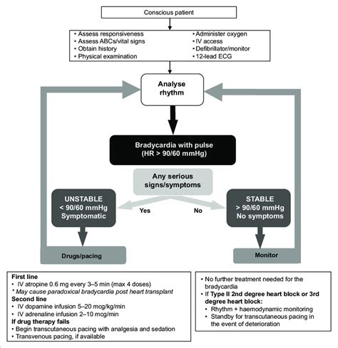 Sinus Bradycardia ACLS Algorithm 的图像结果
