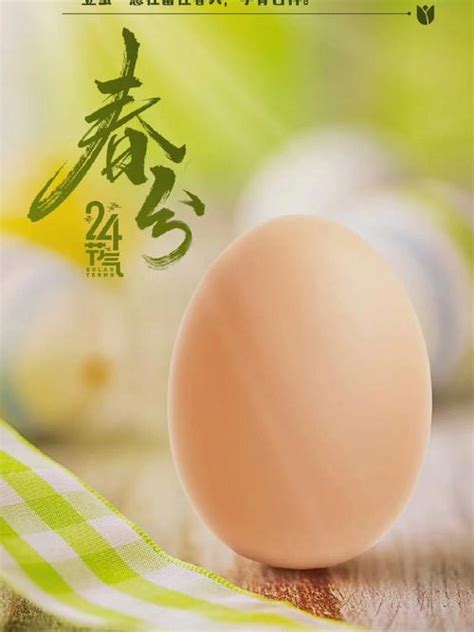 组图：人们春分时节立鸡蛋庆春天_新闻中心_新浪网