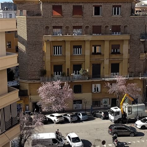 MERCURE ROMA PIAZZA BOLOGNA (Rome) - Hotel Reviews, Photos, Rate ...