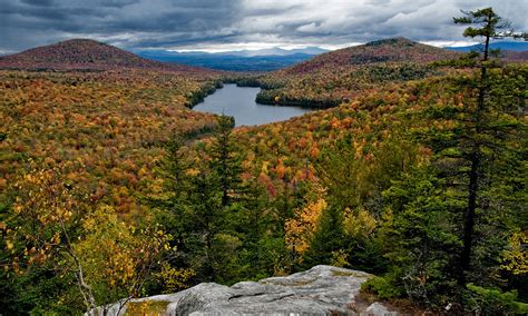 Temperate Deciduous Forest Climate