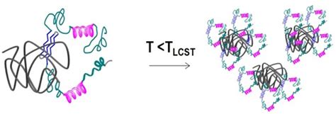 Amyloid Beta Aggregation in the Presence of Temperature-Sensitive Polymers