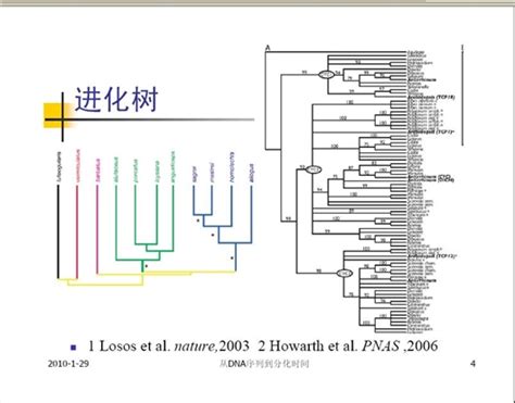 科学网—报告:《从序列到分化时间——进化树与分子钟》 - 张金龙的博文