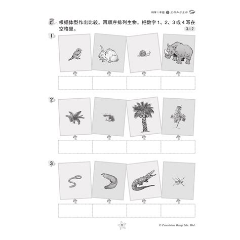 Freesciencelessons P1 的图像结果