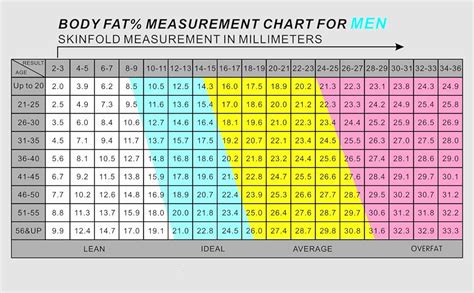 Body Fat Calipers Fat Measure Caliper For Accurately Measuring Caliper ...