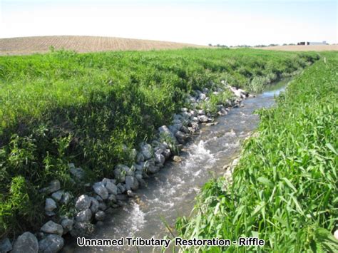 Unnamed Tributary of Salt Creek & Sandra Miller Bellrose Nature ...