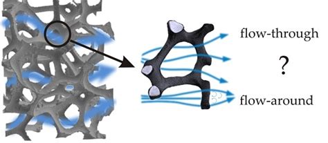 In Search of Governing Gas Flow Mechanism through Metal Solid Foams