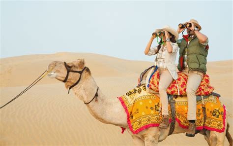 Camel Safari in Jaisalmer, jaisalmer, India - Top Attractions, Things ...