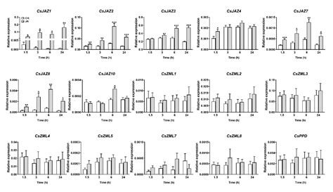 Genome-Wide Identification of the Tify Gene Family and Their Expression ...