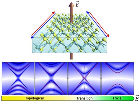 Indian Institute of Science